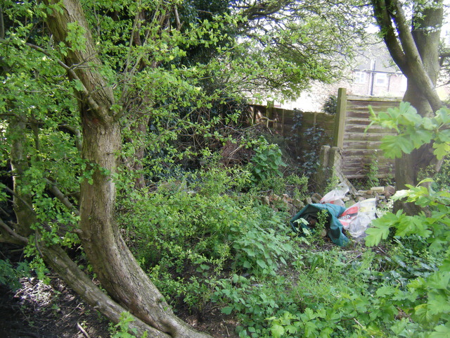 dscf5090.jpg